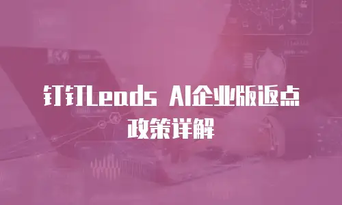 钉钉Leads AI企业版返点政策详解
