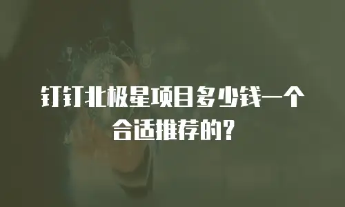 钉钉北极星项目多少钱一个合适推荐的？