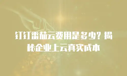 钉钉番茄云费用是多少？揭秘企业上云真实成本