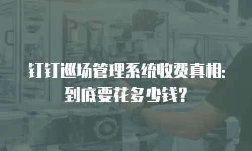 钉钉巡场管理系统收费真相：到底要花多少钱？