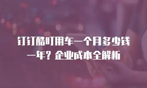 钉钉酷盯用车一个月多少钱一年？企业成本全解析