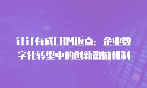 钉钉有成CRM返点：企业数字化转型中的创新激励机制