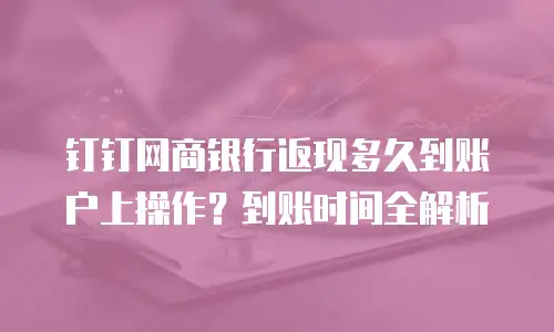 钉钉网商银行返现多久到账户上操作？到账时间全解析