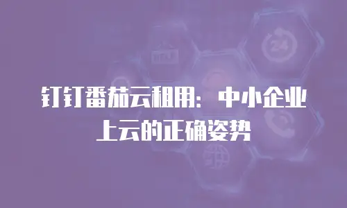 钉钉番茄云租用：中小企业上云的正确姿势