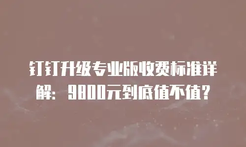 钉钉升级专业版收费标准详解：9800元到底值不值？
