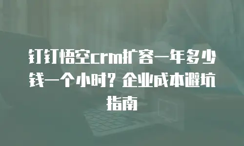 钉钉悟空crm扩容一年多少钱一个小时？企业成本避坑指南