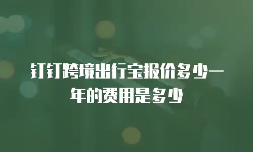 钉钉跨境出行宝报价多少一年的费用是多少
