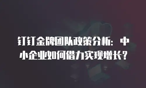 钉钉金牌团队政策分析：中小企业如何借力实现增长？
