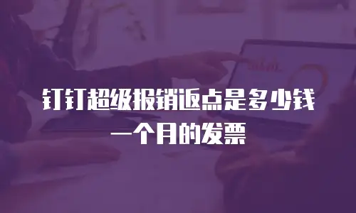 钉钉超级报销返点是多少钱一个月的发票