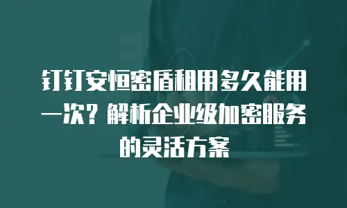 钉钉安恒密盾租用多久能用一次？解析企业级加密服务的灵活方案