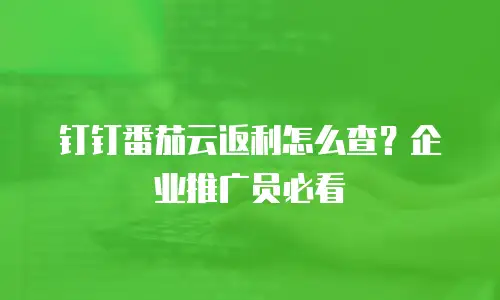 钉钉番茄云返利怎么查？企业推广员必看