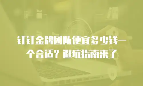 钉钉金牌团队便宜多少钱一个合适？避坑指南来了