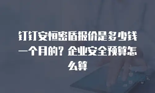 钉钉安恒密盾报价是多少钱一个月的？企业安全预算怎么算