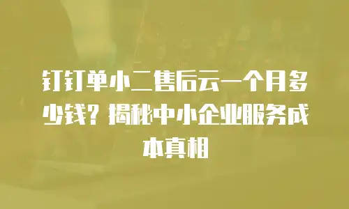 钉钉单小二售后云一个月多少钱？揭秘中小企业服务成本真相