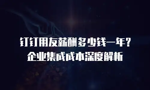 钉钉用友薪酬多少钱一年？企业集成成本深度解析