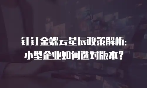 钉钉金蝶云星辰政策解析：小型企业如何选对版本？