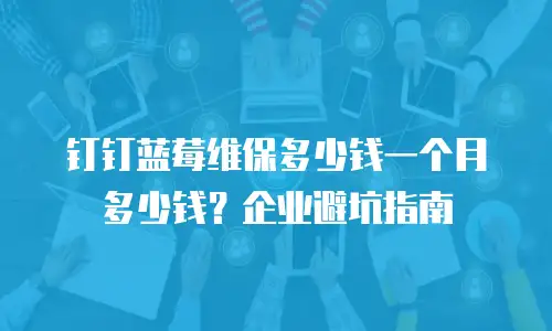 钉钉蓝莓维保多少钱一个月多少钱？企业避坑指南