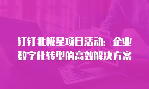 钉钉北极星项目活动：企业数字化转型的高效解决方案