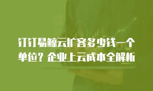 钉钉易鲸云扩容多少钱一个单位？企业上云成本全解析