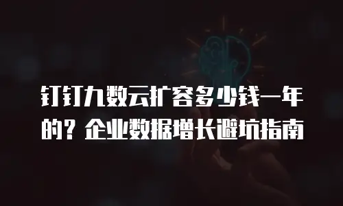 钉钉九数云扩容多少钱一年的？企业数据增长避坑指南