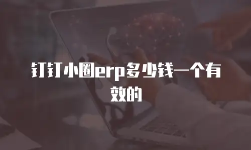 钉钉小圈erp多少钱一个有效的