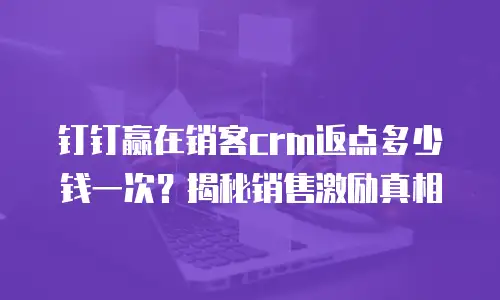 钉钉赢在销客crm返点多少钱一次？揭秘销售激励真相