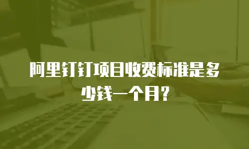 阿里钉钉项目收费标准是多少钱一个月？