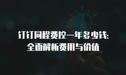 钉钉同程费控一年多少钱：全面解析费用与价值