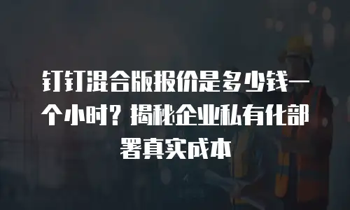 钉钉混合版报价是多少钱一个小时？揭秘企业私有化部署真实成本