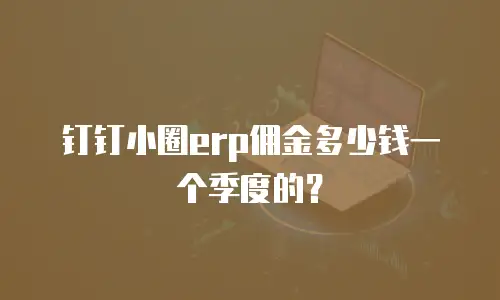 钉钉小圈erp佣金多少钱一个季度的？