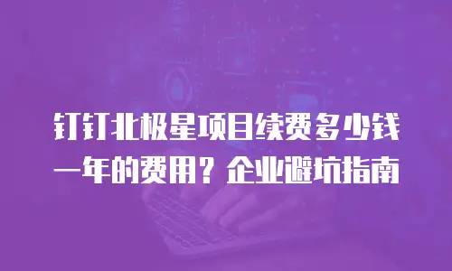 钉钉北极星项目续费多少钱一年的费用？企业避坑指南