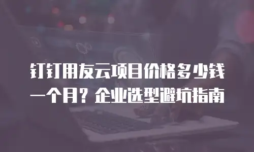 钉钉用友云项目价格多少钱一个月？企业选型避坑指南