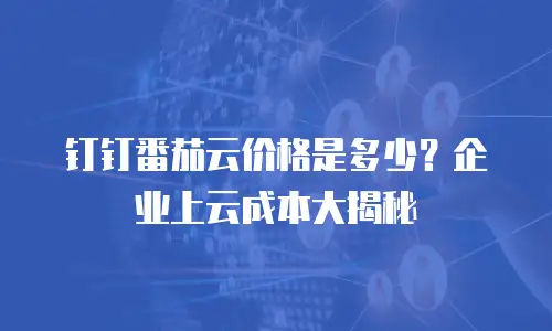 钉钉番茄云价格是多少？企业上云成本大揭秘
