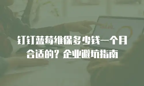 钉钉蓝莓维保多少钱一个月合适的？企业避坑指南