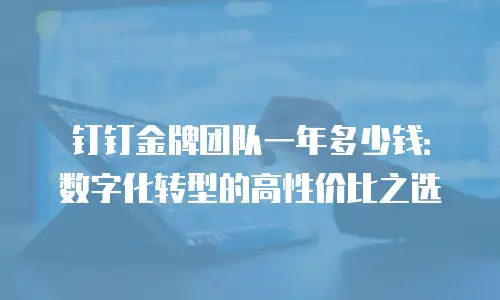 钉钉金牌团队一年多少钱：数字化转型的高性价比之选