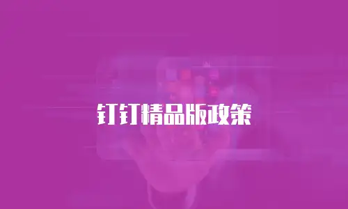 钉钉精品版政策