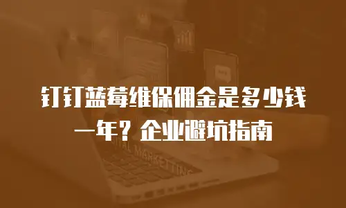 钉钉蓝莓维保佣金是多少钱一年？企业避坑指南