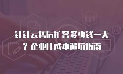 钉钉云售后扩容多少钱一天？企业IT成本避坑指南
