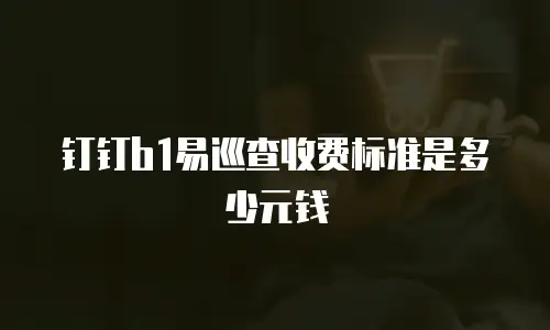 钉钉b1易巡查收费标准是多少元钱