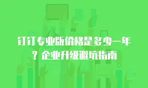 钉钉专业版价格是多少一年？企业升级避坑指南
