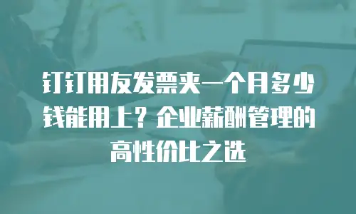钉钉用友发票夹一个月多少钱能用上？企业薪酬管理的高性价比之选