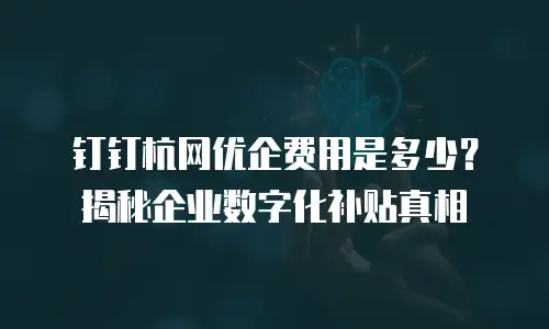 钉钉杭网优企费用是多少？揭秘企业数字化补贴真相