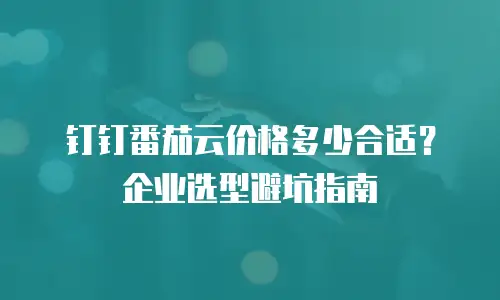钉钉番茄云价格多少合适？企业选型避坑指南