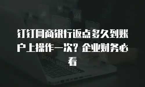 钉钉网商银行返点多久到账户上操作一次？企业财务必看