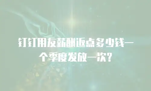 钉钉用友薪酬返点多少钱一个季度发放一次？