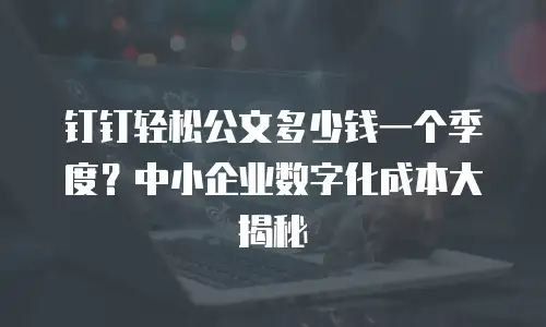 钉钉轻松公文多少钱一个季度？中小企业数字化成本大揭秘