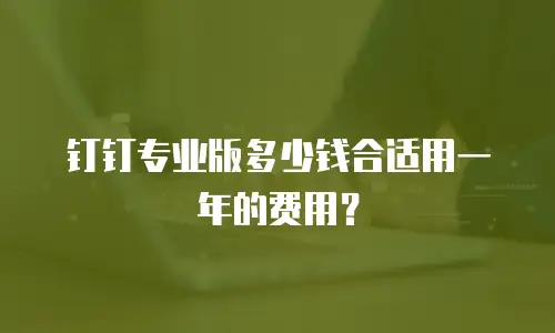 钉钉专业版多少钱合适用一年的费用？