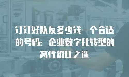 钉钉好队友多少钱一个合适的号码：企业数字化转型的高性价比之选