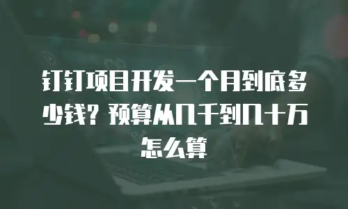 钉钉项目开发一个月到底多少钱？预算从几千到几十万怎么算