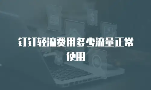 钉钉轻流费用多少流量正常使用